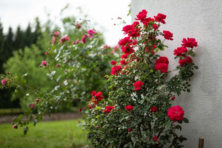 Alpinloft_Tirol_Sonnenstrasse_11_Bad_Haering_Detai