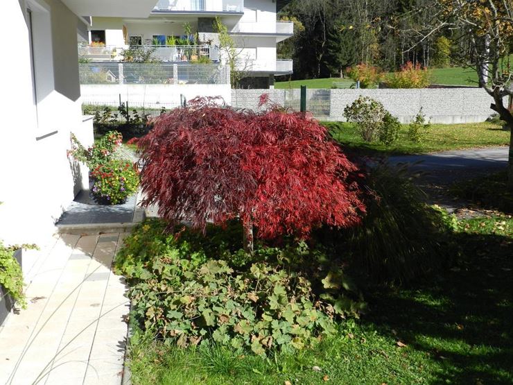 Ferienwohnung Hotter Neu Fleck Bad HäringHerbst