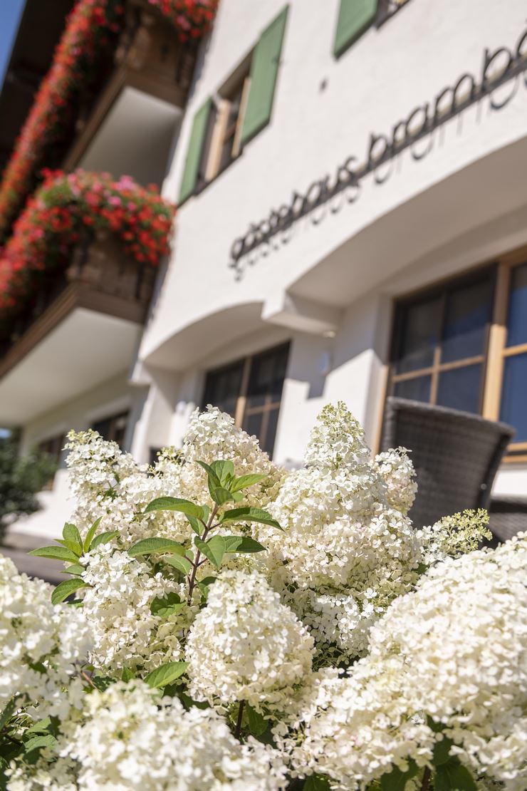 gästehaus bramböck©foto•gretter 0012