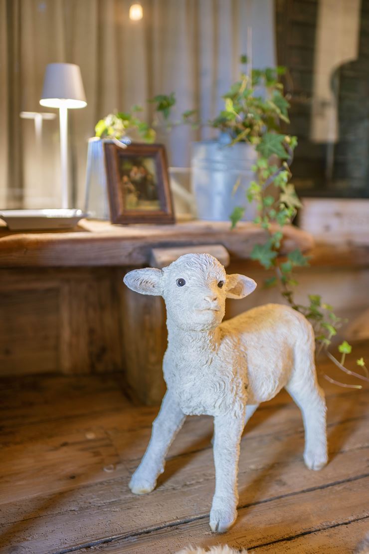 Bauernhaus Schloss Wagrain