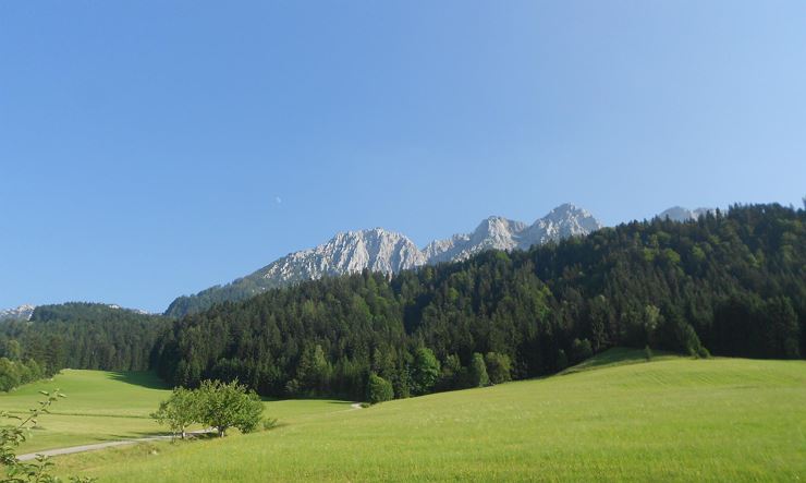 Bauernhof Großwolfing Ebbs - Blick auf die Berge