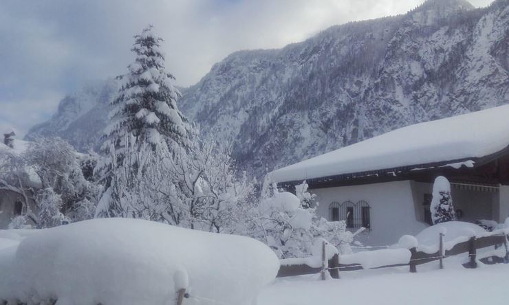 Ferienwohnung Kofler Ebbs Schneelandschaft