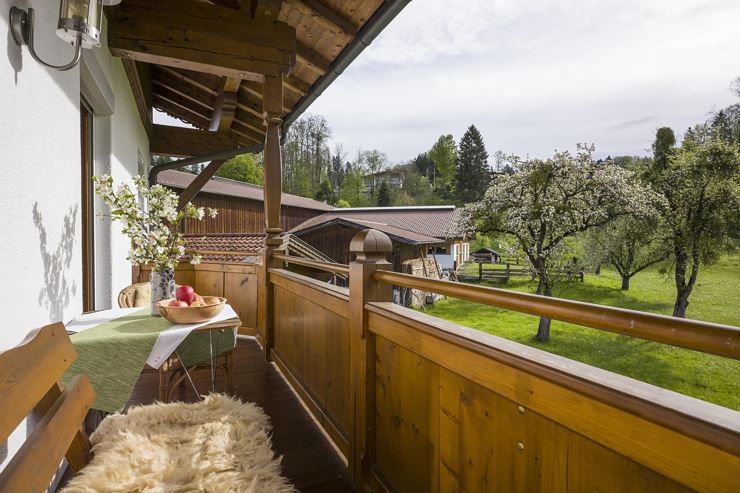 Grosspointerhof_Point_18_Ebbs_App_Kaiserblick_Balk