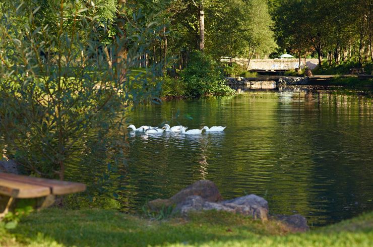 HotelZurSchanz_Garten_SchanzerTeich