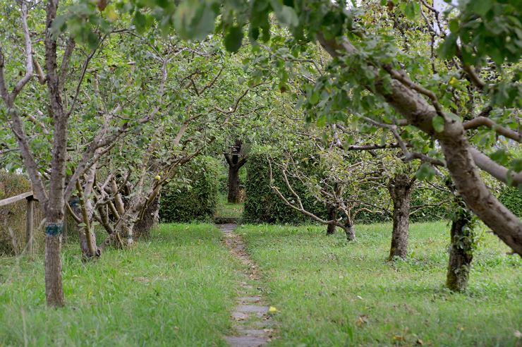 Landhaus Tyrol Ebbs Ansicht Garten