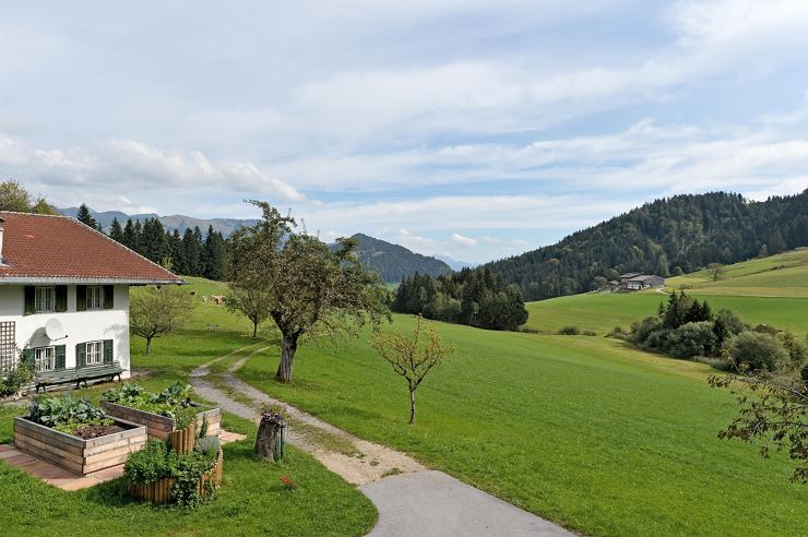 Riesböckhof Ebbs Aussicht