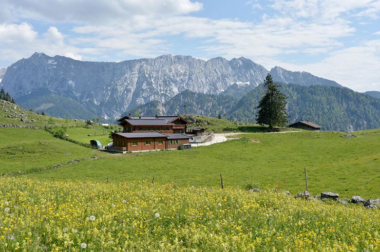 Ritzau Alm Ebbs Kaisertal im Sommer
