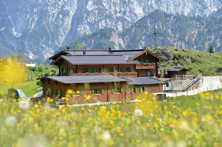 Ritzau Alm Ebbs Kaisertal Sommeransicht