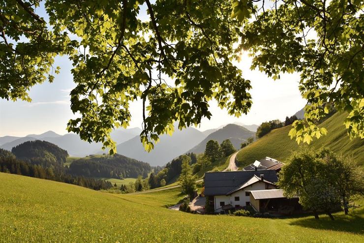 Berggasthof Moosbauer Erl - Ausblick im Sommer