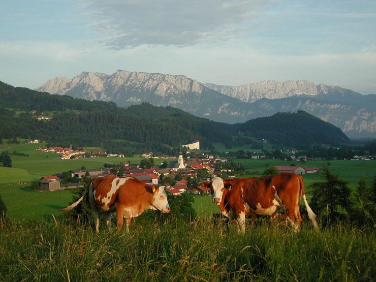 Appartements Osterauer, Blick vom Kalvarienberg