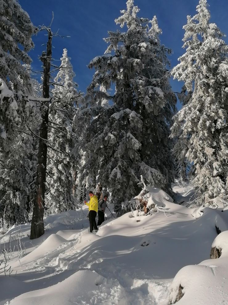 Schneeschuh oder Winterwandern Spitzstein