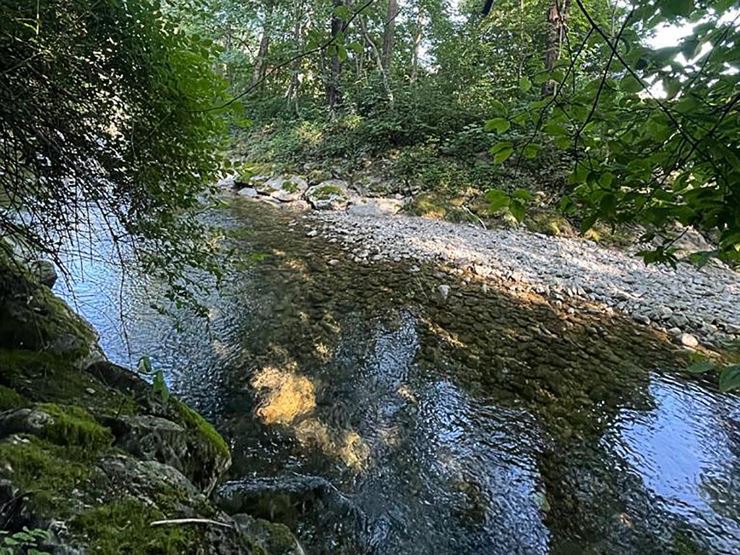Bach direkt vor dem Garten