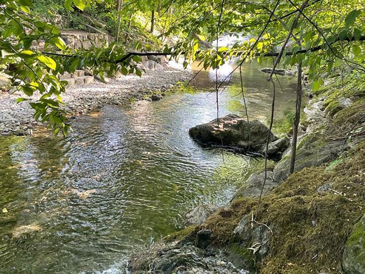 Haus am Bach - im Sommer