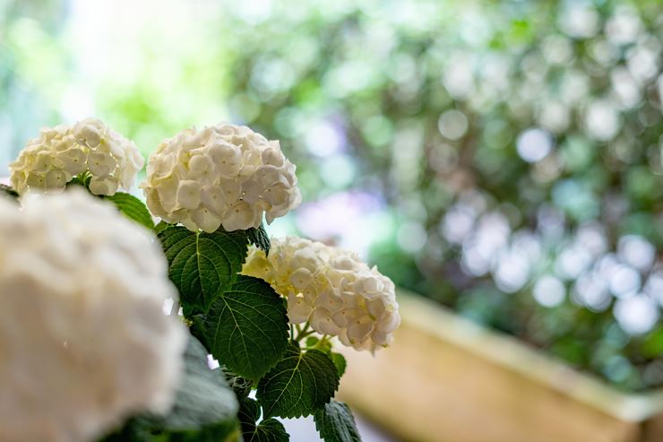 Hotel_Anfreas_Hofer_Georg_Pirmoser_Strasse_8_Kufst