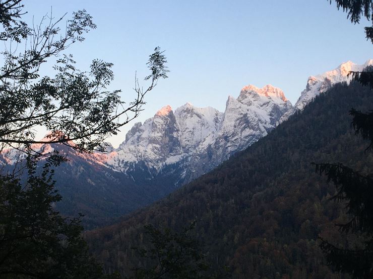 47C62C66-6AD3-422C-BA75-2CCF86567907