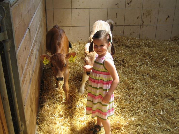 Bauernhof Schmidlhof Niederndorf - Stall