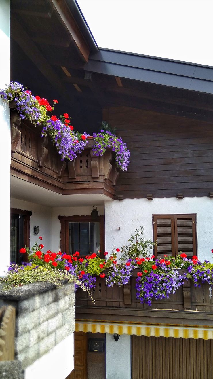 IMG_20200831_112549-01