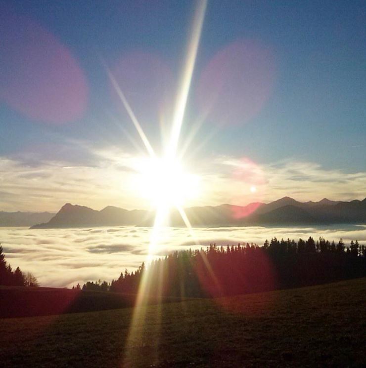 Nebel_Sonne
