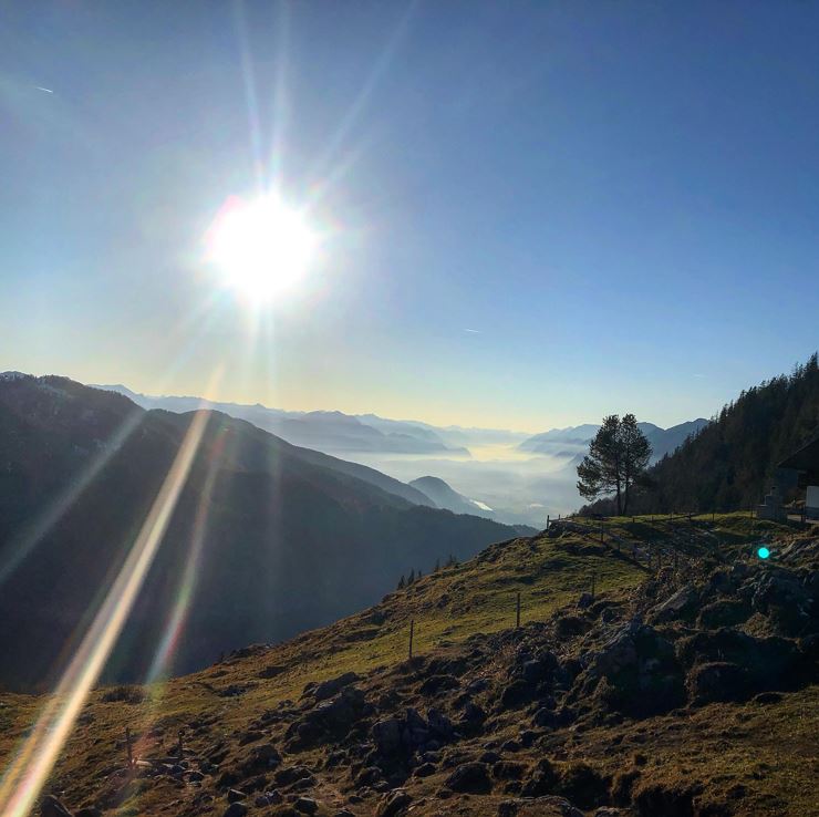 B19AD916-CFE9-43C8-9D0C-18269523D81E