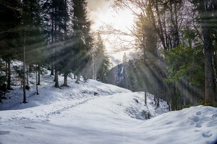 Winterwandern Riedenberg