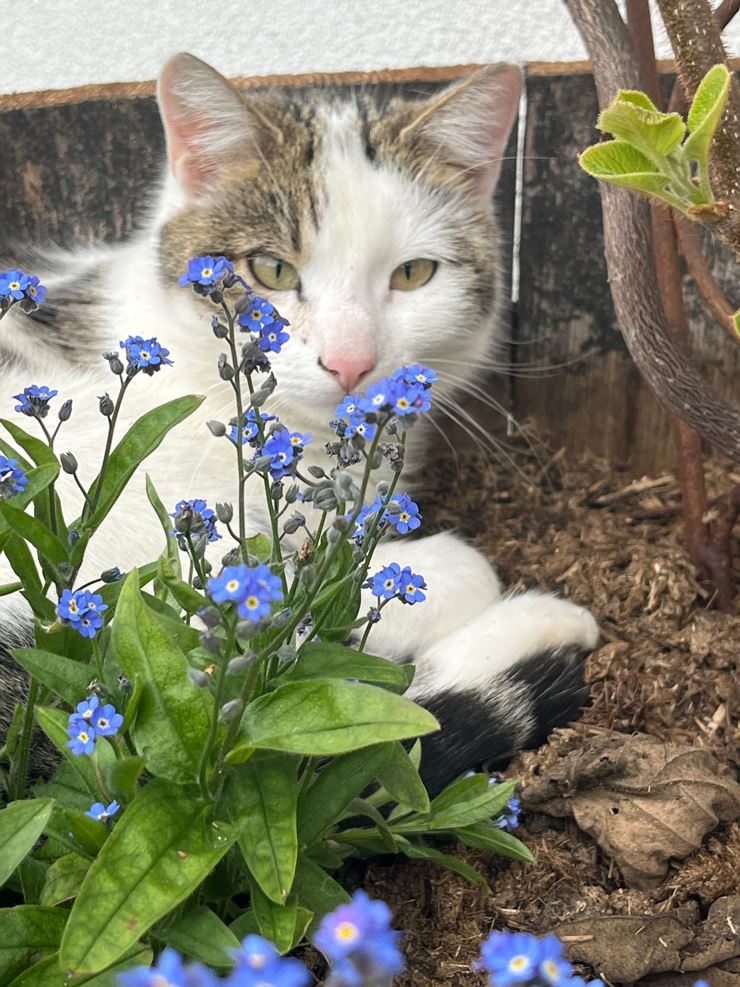 Garten zum wohlfühlen