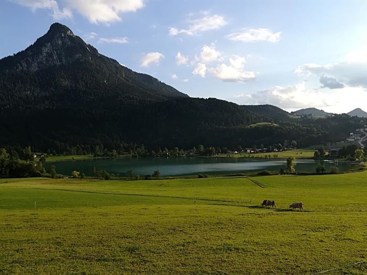 Bauernhof Langhof Thiersee - Sicht See & Pendling