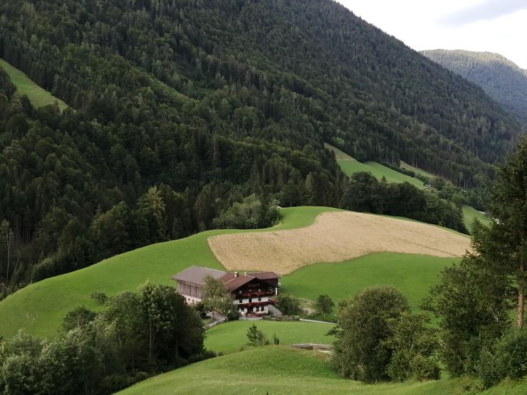 IMG_20220801_180614_BURST004