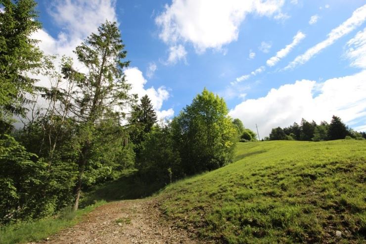 Berg-Chalet Glemmtaler Hütte Thiersee - Wiese