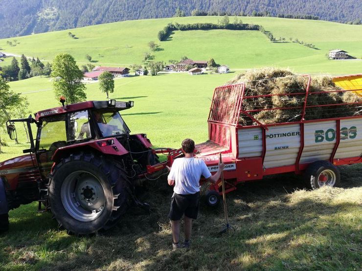 Beim Heu machen