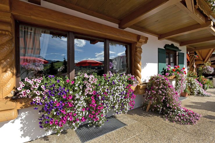 Gästehaus Auer Thiersee Blumenschmuck
