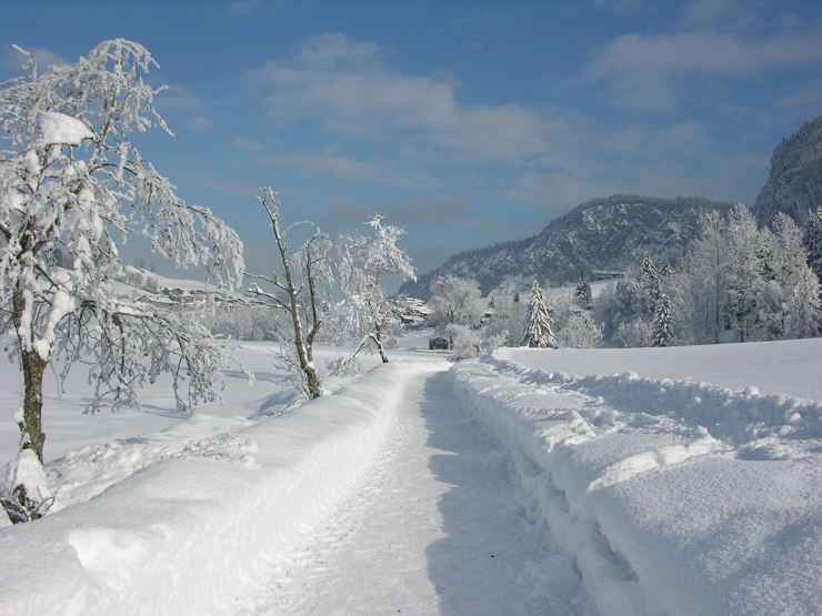 Winteridylle 2012 013 - Kopie