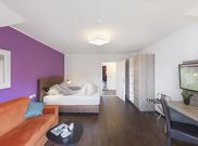 Sound of Music - Apt. with 1 bedroom and kitchen