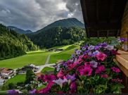 Apartment, shower, toilet, good as new