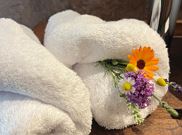 Einzelzimmer, Dusche, WC, Balkon