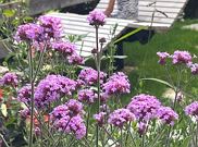 Einzelzimmer, Dusche, WC, Balkon