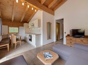 Zahmer Kaiser holiday apartment