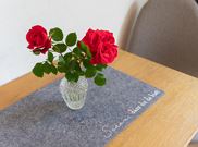 Double room, shower, toilet, balcony