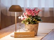 apartment/1 bedroom/bath tub, WC