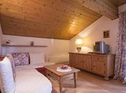 apartment/1 bedroom/shower, WC