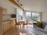 apartment/1 bedroom/shower, WC