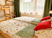 Apartment, separate toilet and shower/bathtub, 1 bed room