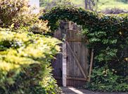 Apartment, bath, toilet, terrace
