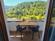 Apartment, shower and bath, toilet, lake view