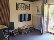 Apartment, shower and bath, toilet, lake view