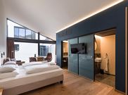 Junior suite, shower, toilet, living room/bedroom