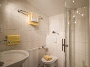 Apartment, shower, toilet, no smoker